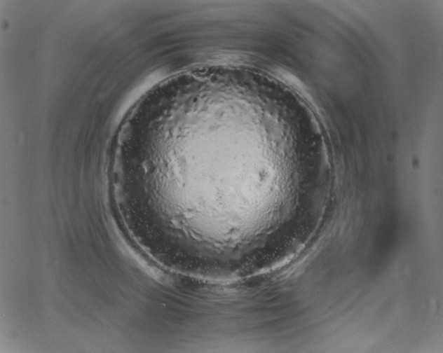 X0000062851235200601131341