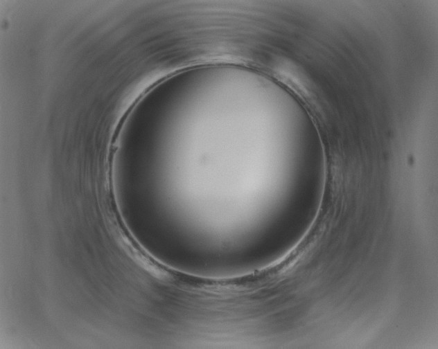 X0000062851236200601131341