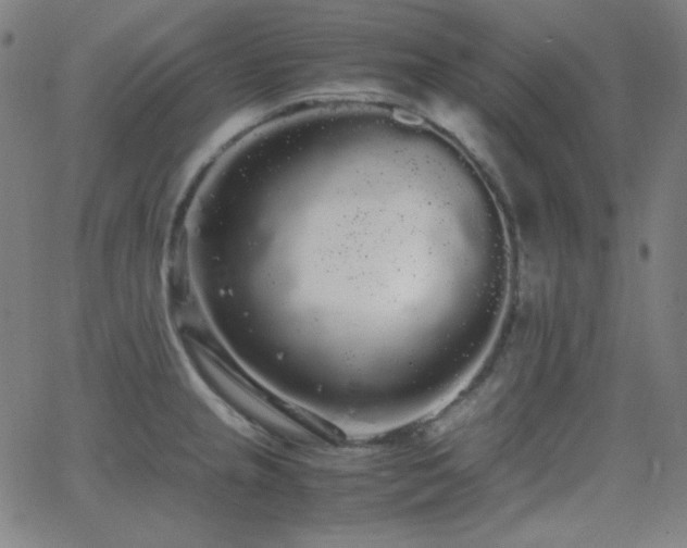 X0000062851237200601131341