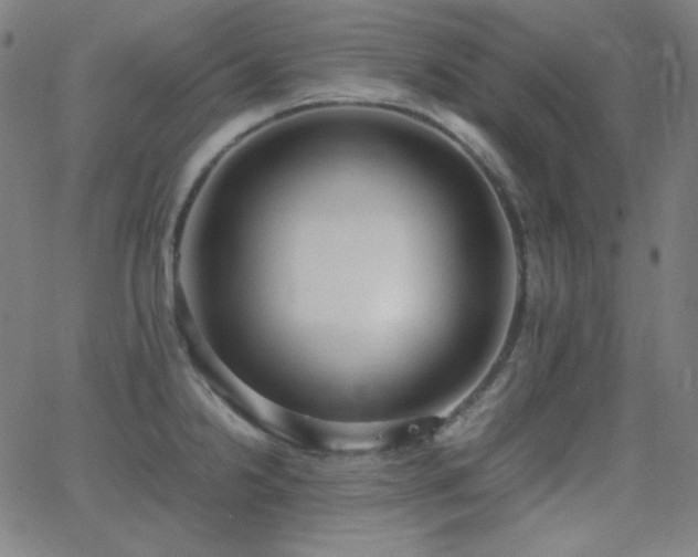 X0000062851238200601131341