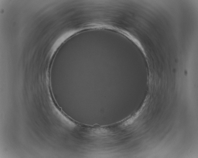 X0000062851239200601131341