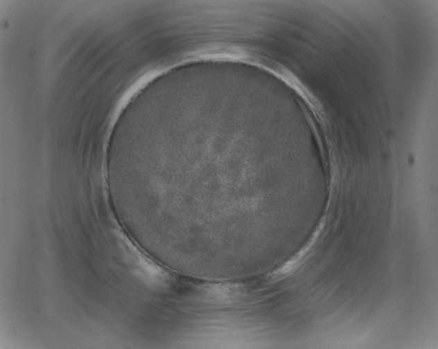 X0000062851240200601131341