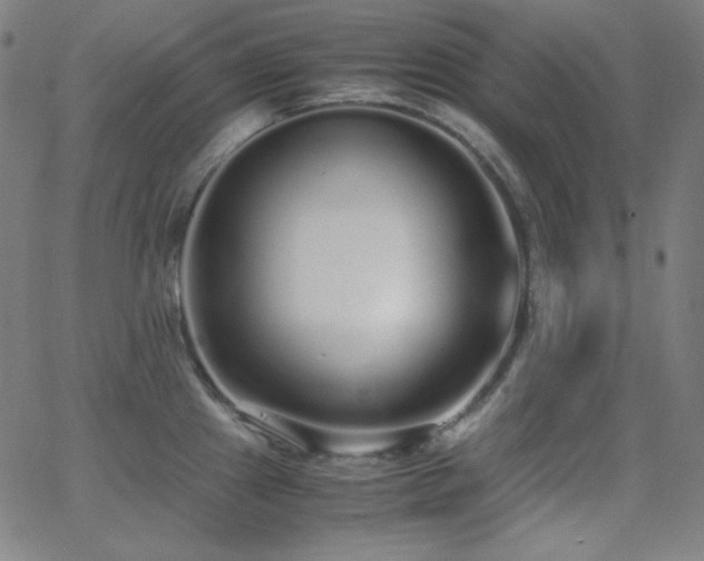 X0000062851241200601131341