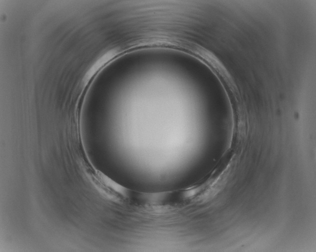 X0000062851242200601131341