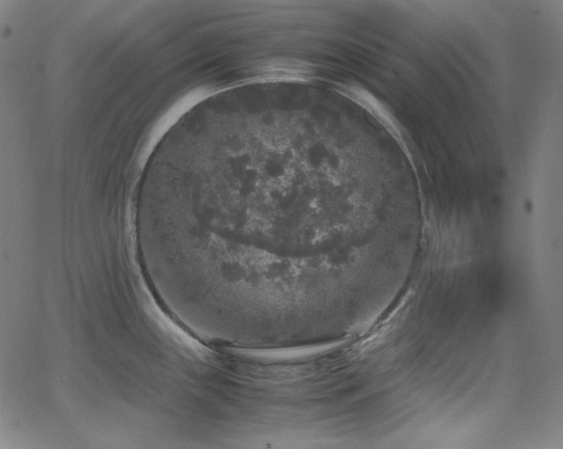 X0000062851243200601131341