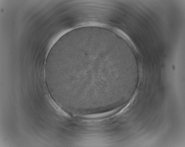 X0000062851244200601131341