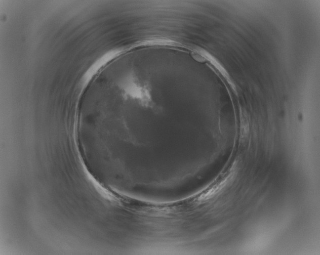 X0000062851245200601131341