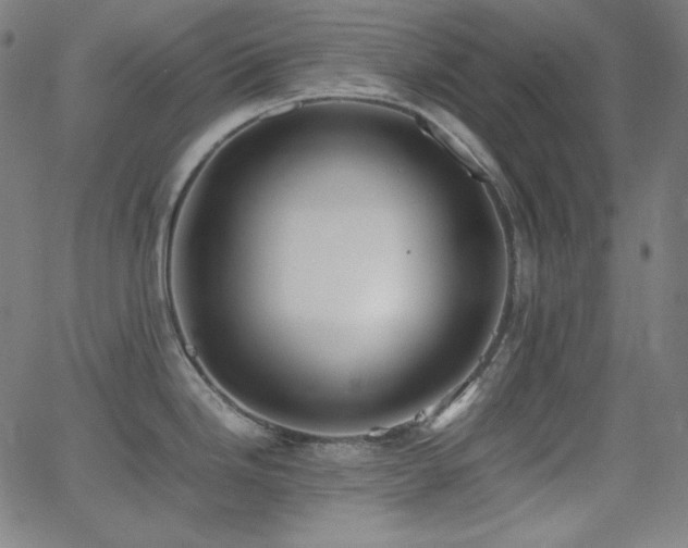 X0000062851246200601131341