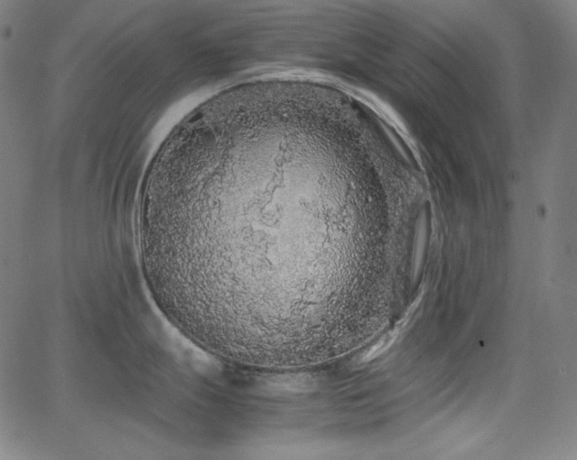 X0000062851247200601131341