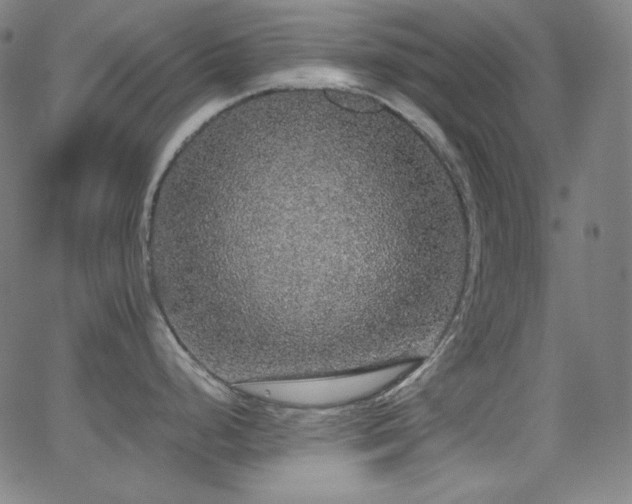 X0000062851248200601131341