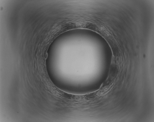 X0000062851249200601131341