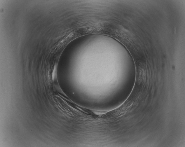 X0000062851250200601131341