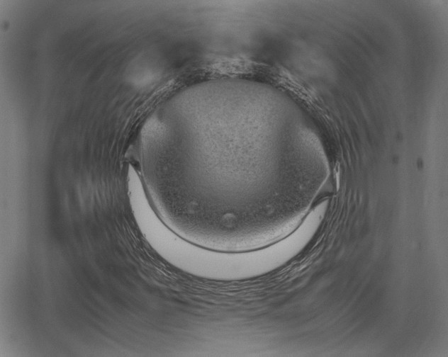 X0000062851251200601131341