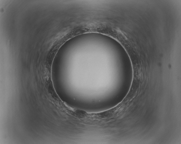 X0000062851253200601131341