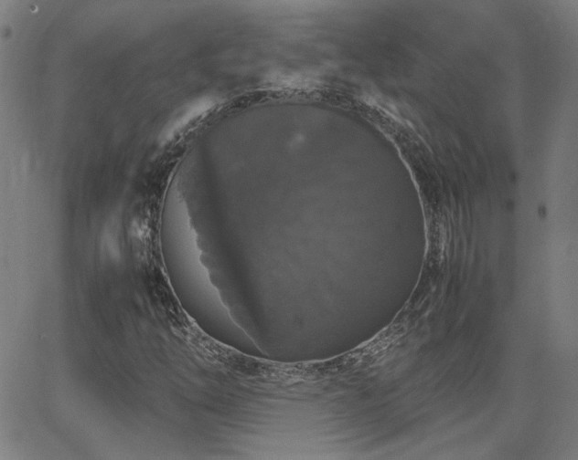 X0000062851254200601131340