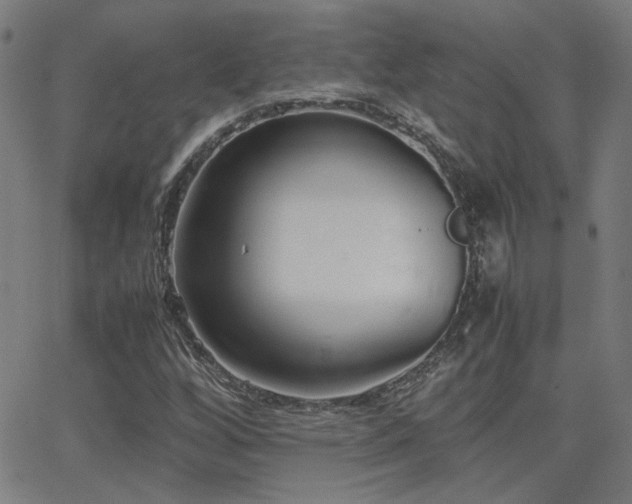 X0000062851256200601131340