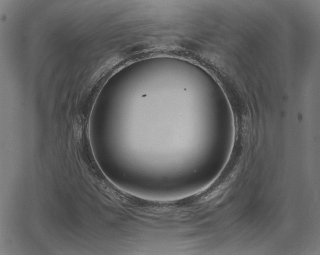 X0000062851257200601131340