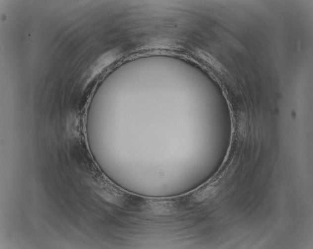 X0000062851258200601131340