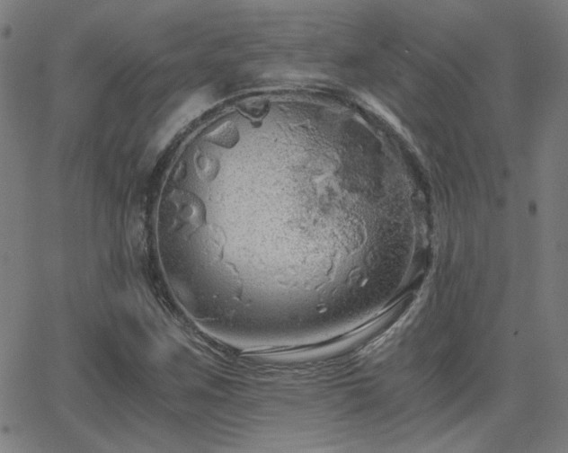 X0000062851259200601131340