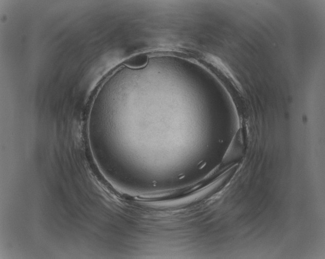 X0000062851260200601131340