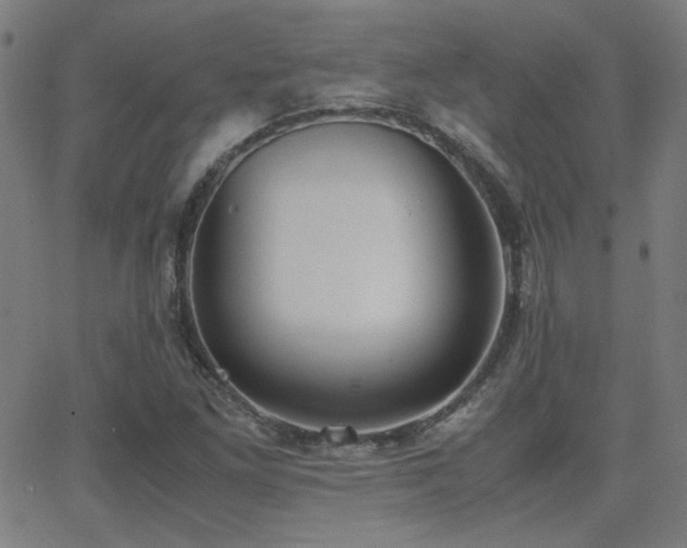 X0000062851261200601131340