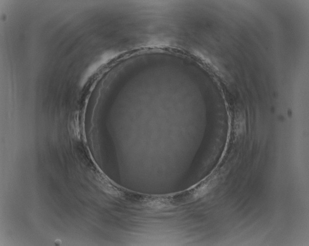 X0000062851262200601131340