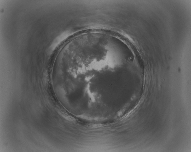 X0000062851263200601131340