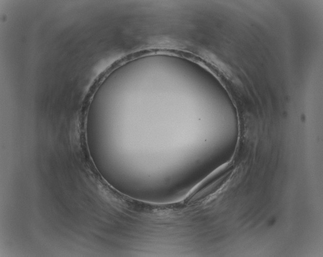 X0000062851264200601131340