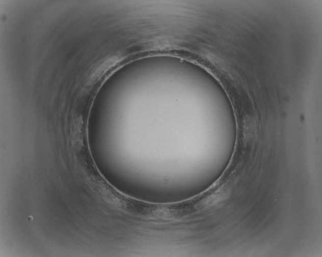 X0000062851265200601131340