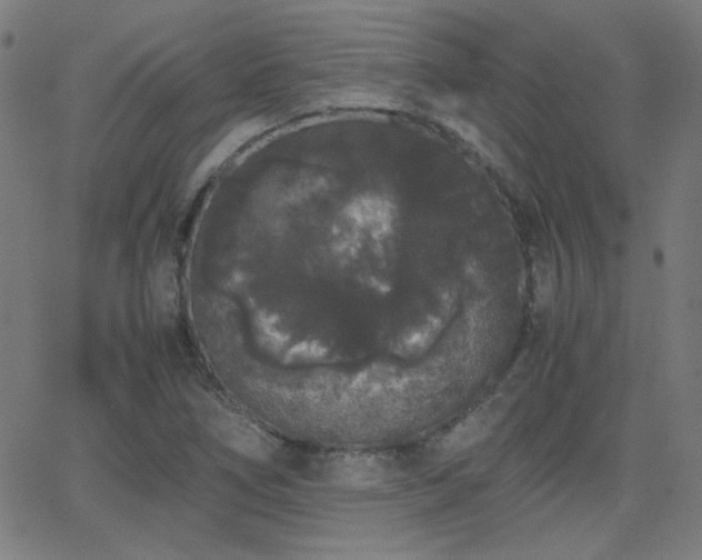 X0000062851266200601131340