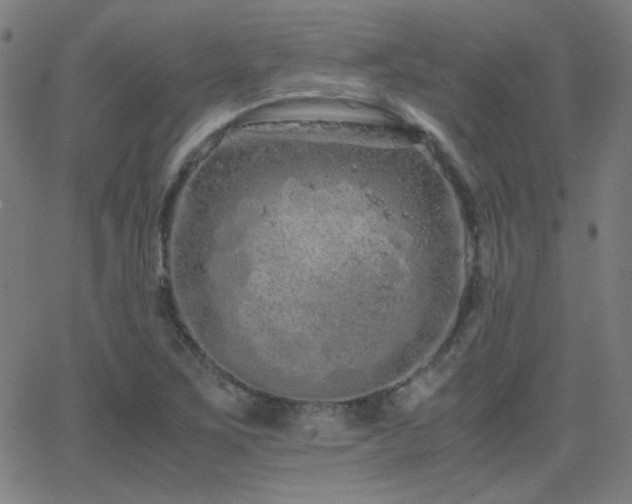 X0000062851267200601131340