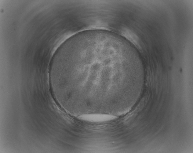 X0000062851268200601131340