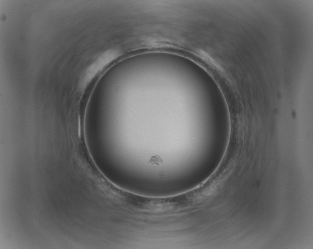 X0000062851269200601131340