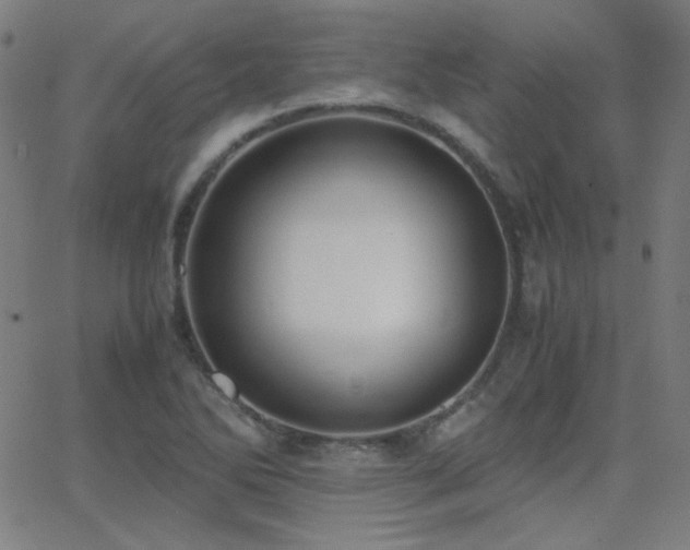 X0000062851270200601131340