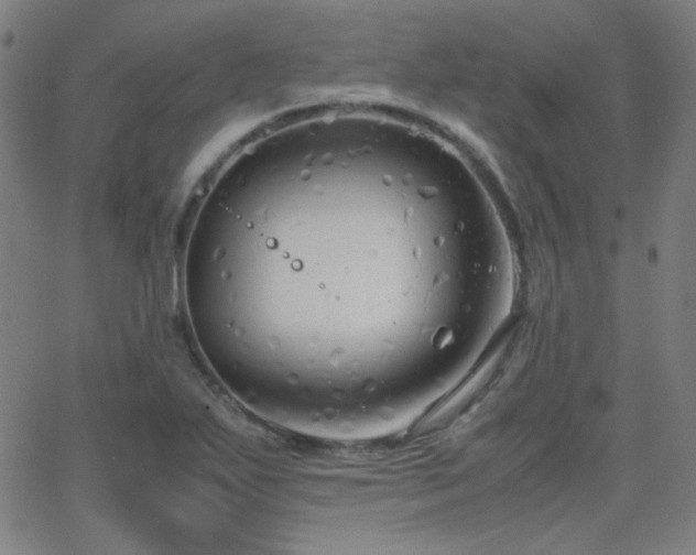 X0000062851271200601131340