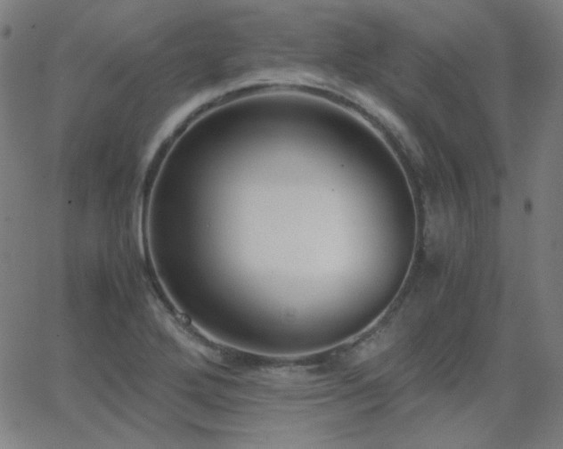 X0000062851272200601131340