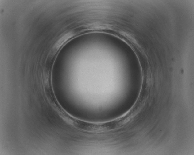 X0000062851273200601131340