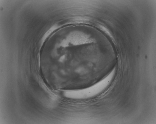 X0000062851275200601131340