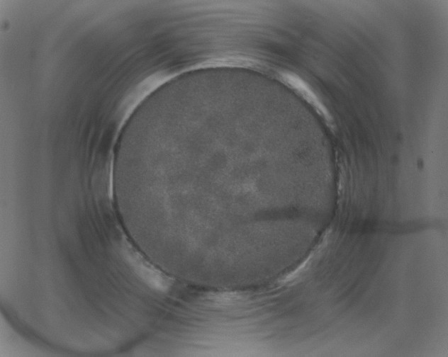 X0000062851276200601131340