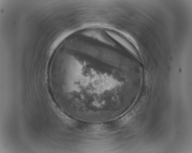 X0000062851279200601131340