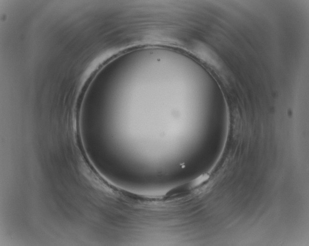 X0000062851280200601131340