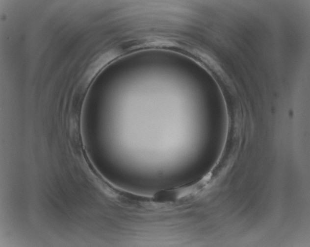 X0000062851281200601131340