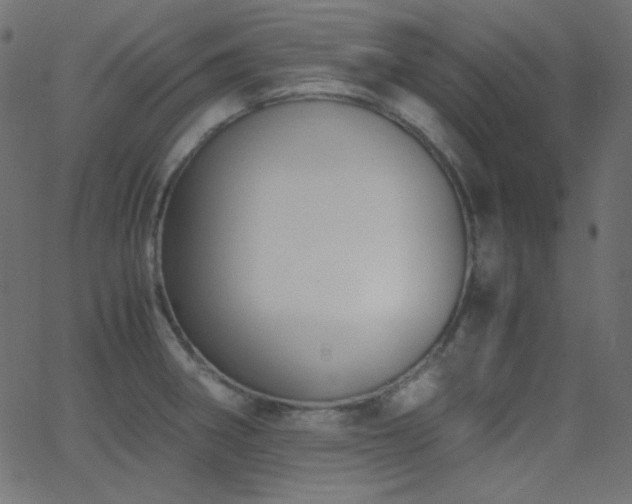 X0000062851282200601131340