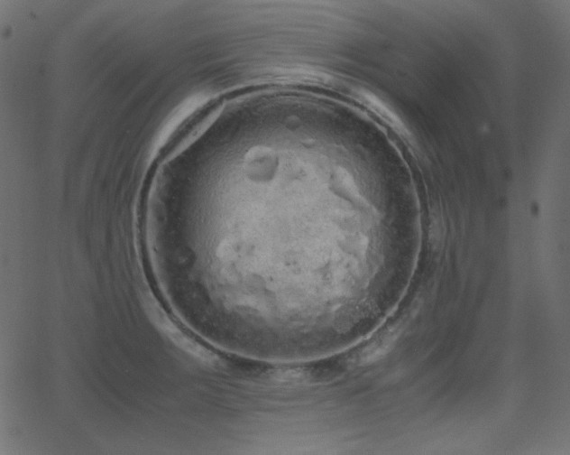 X0000062851283200601131340