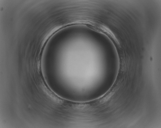 X0000062851284200601131340