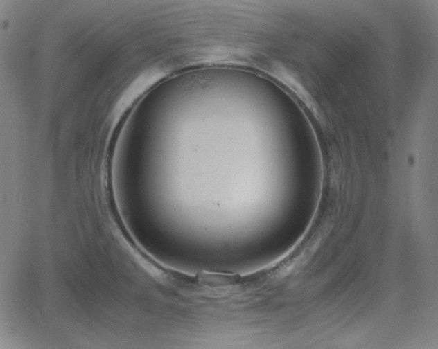 X0000062851285200601131340