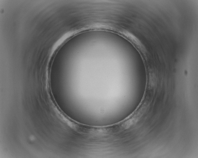 X0000062851286200601131340