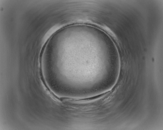 X0000062851287200601131340