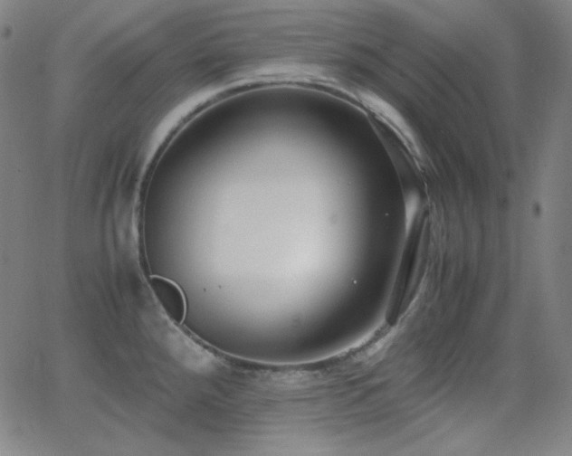 X0000062851288200601131340