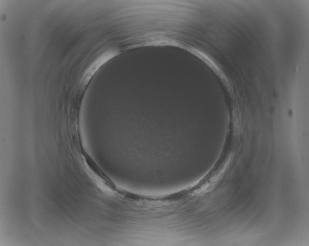 X0000062851289200601131340